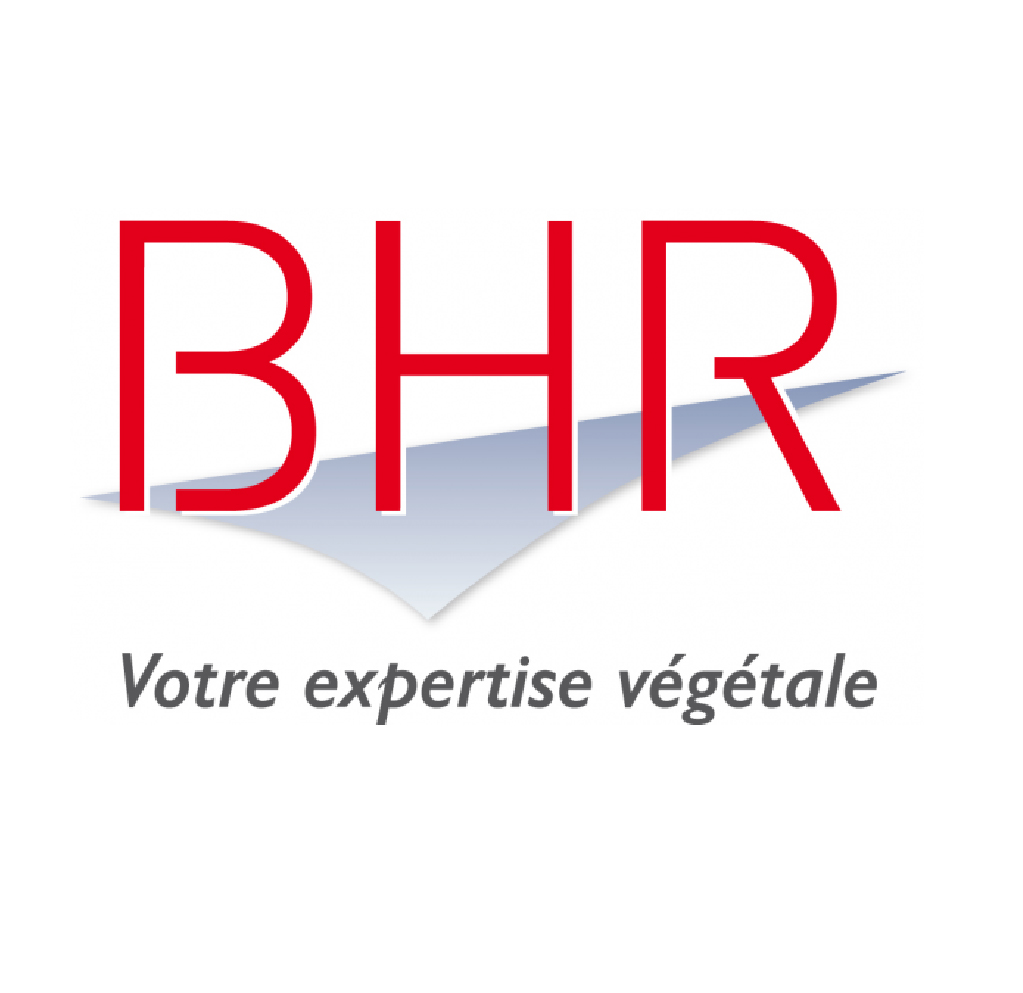 bhr