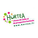 Hortea