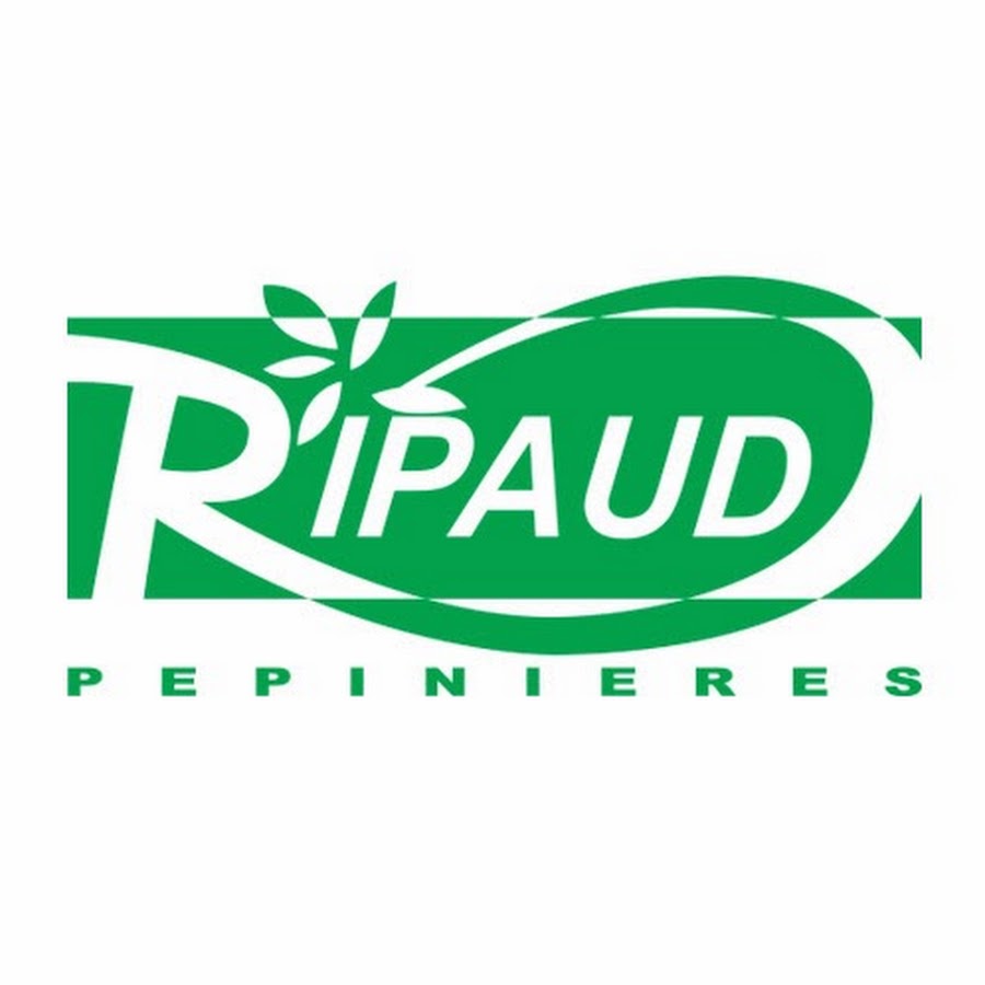 Ripaud